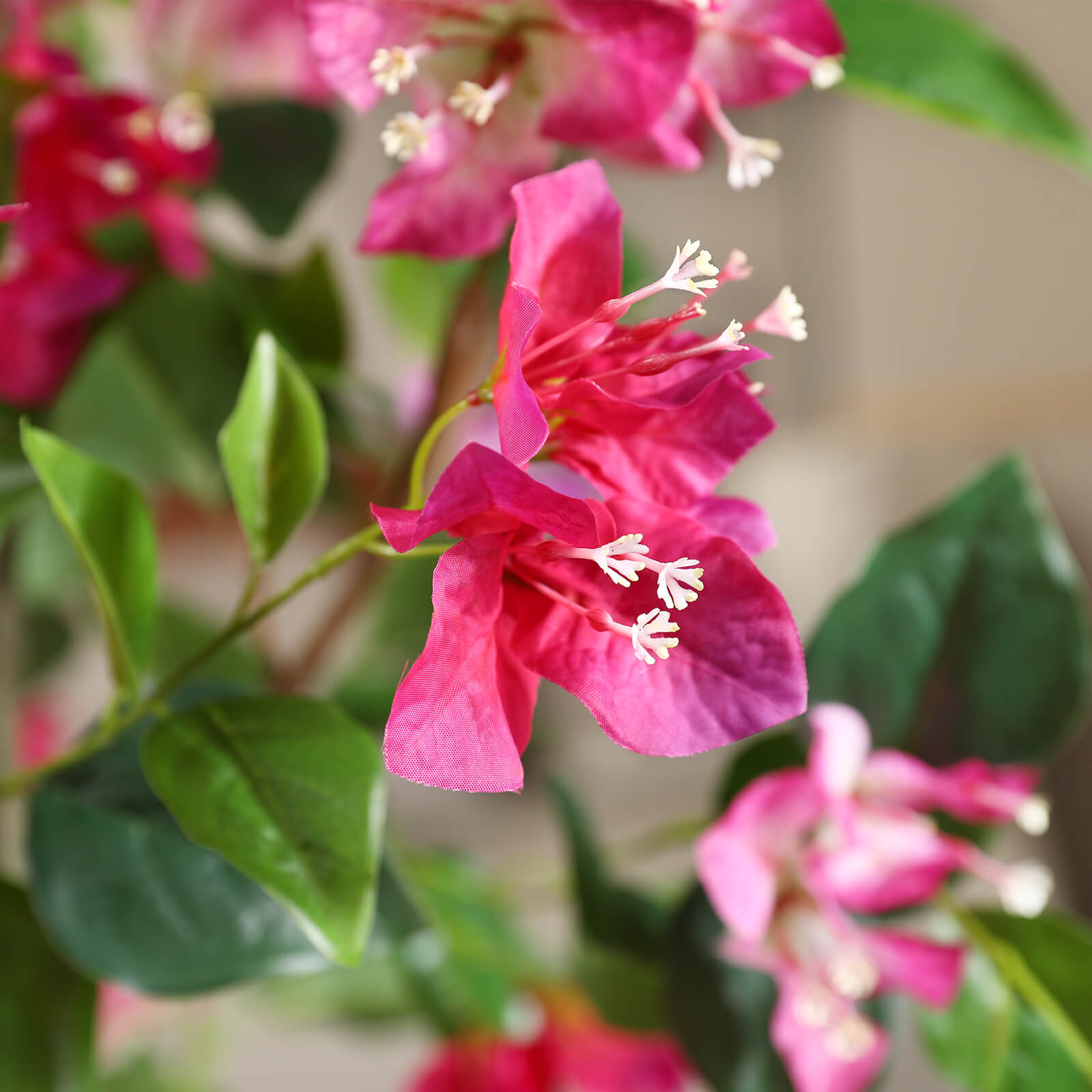 VeriNatural 4/5/6FT Artificial Bougainvillea with White Planter for Indoor