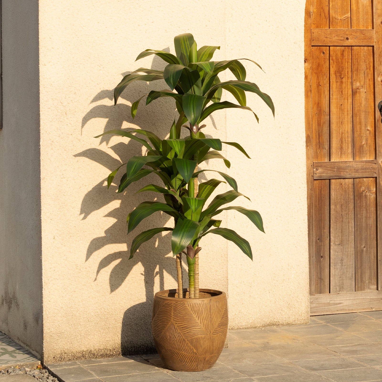 5FT Artificial Dracaena Tree