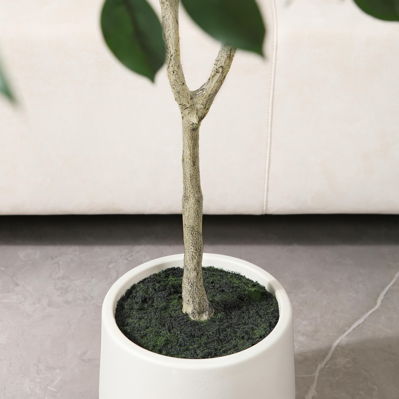 VeriNatural 5/6/7FT Artificial Ficus Tree with White Planter for Indoor