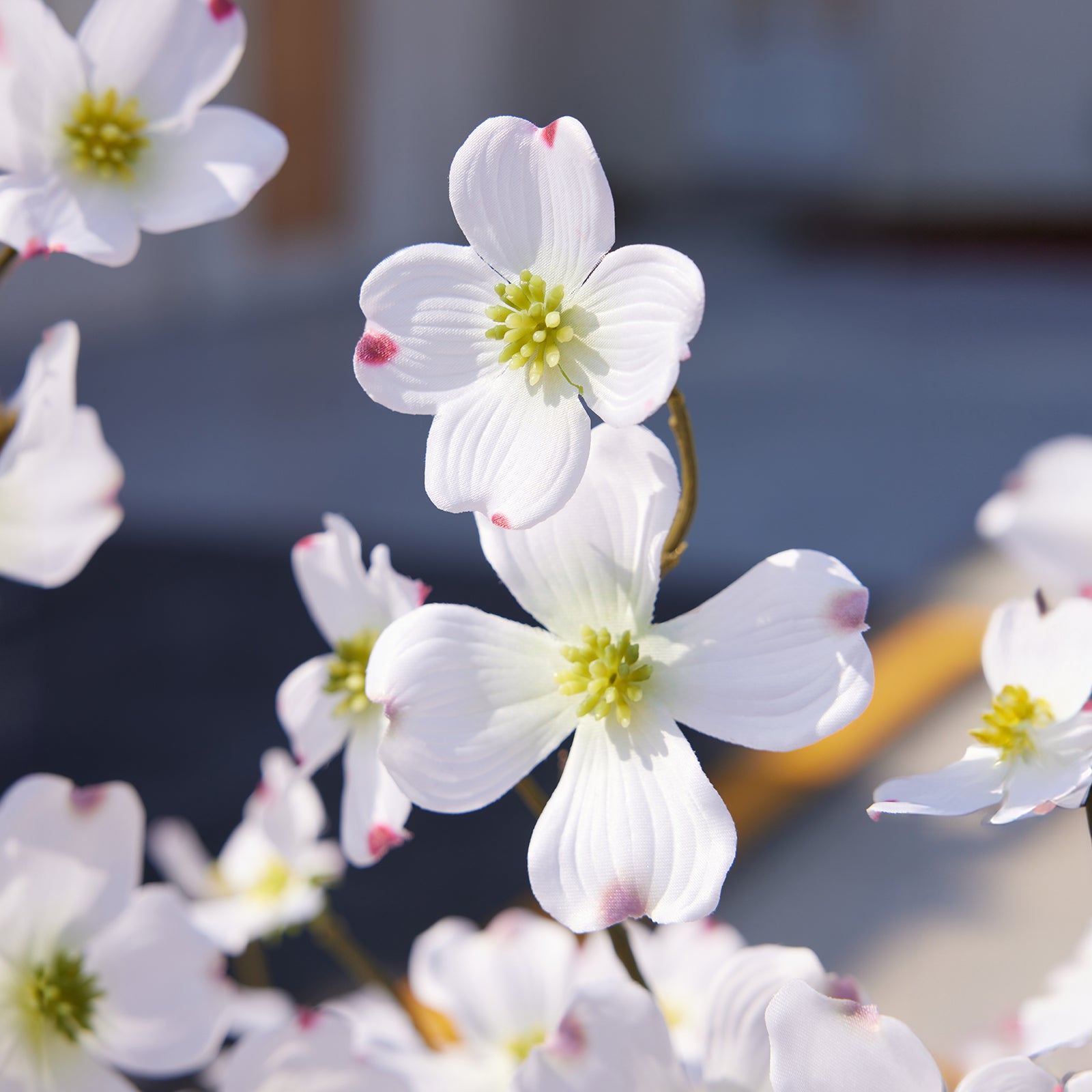 VeriNatural 2-Pack Artificial Dogwood Flower Tree 3/4FT, Faux Silk Flower Trees in Pot for Indoor Decor