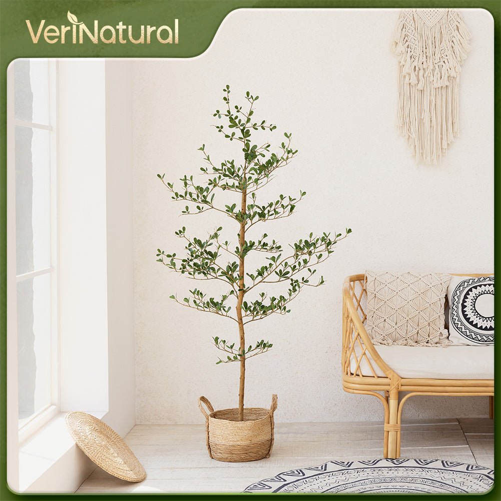 VeriNatural 5/6/7FT Black Olive Tree – Realistic Faux Tree with Natural Trunk & Silk Leaves – Indoor & Outdoor Decor, Low Maintenance, UV Resistant(VN145)