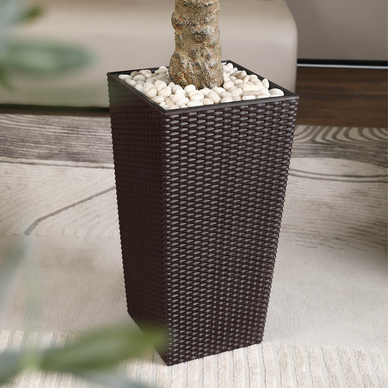 #size_6ft, #color_brown