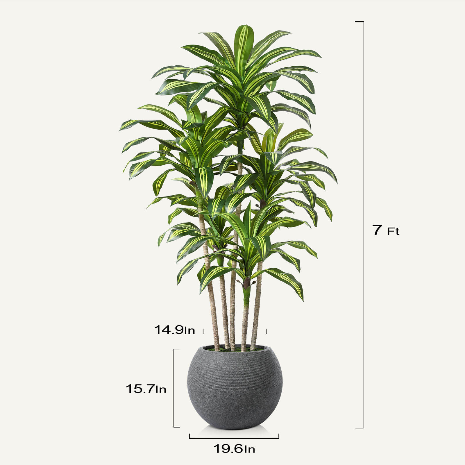 VeriNatural 7FT Artificial Dracaena with Gray Oval Planter for Indoor & Outdoor