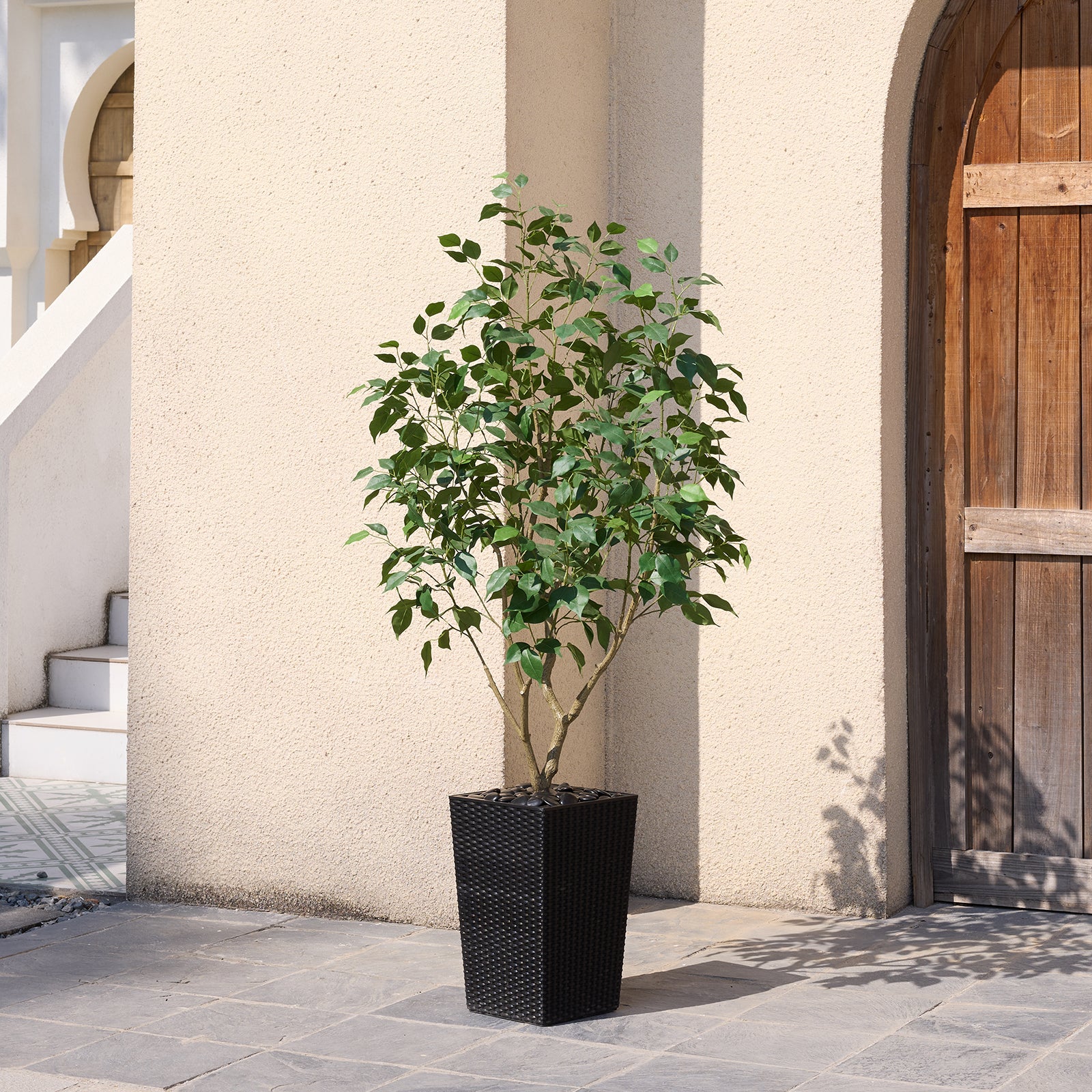 #size_5ft, #color_black