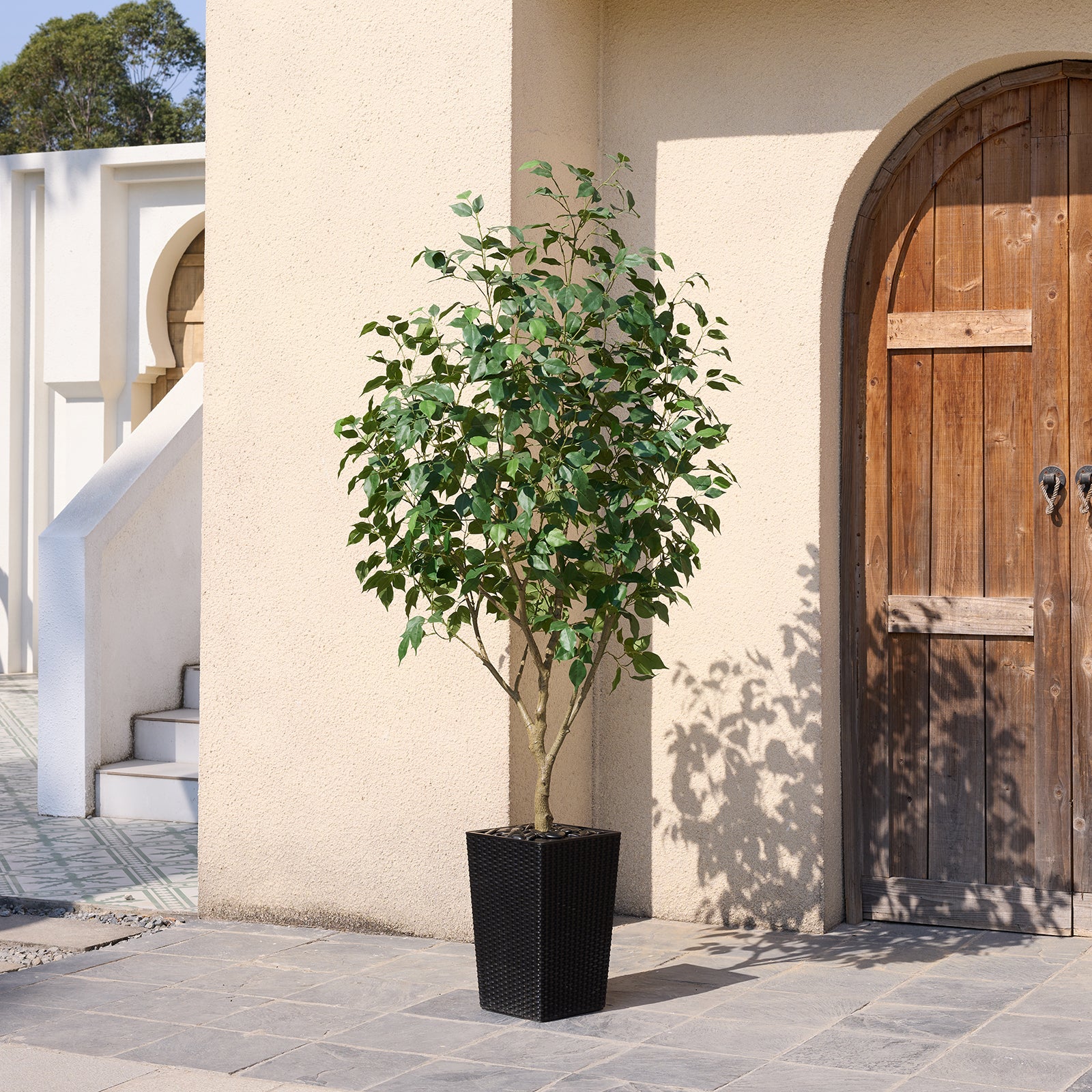 #size_6ft, #color_black