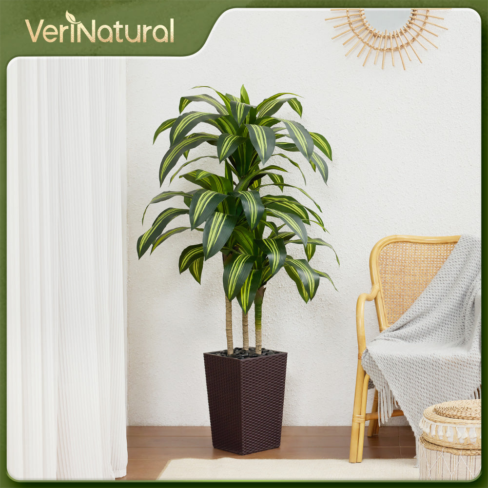 VeriNatural 5/6FT Artificial Dracaena Tree UV Resistant with Black Taper Planter for Indoor & Outdoor(VN127)