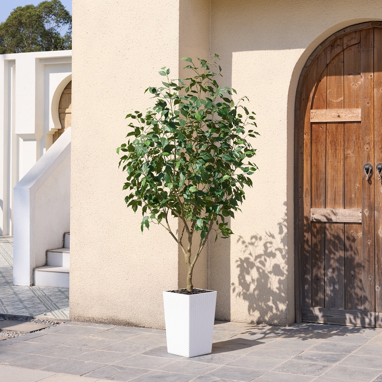 #size_6ft, #color_white