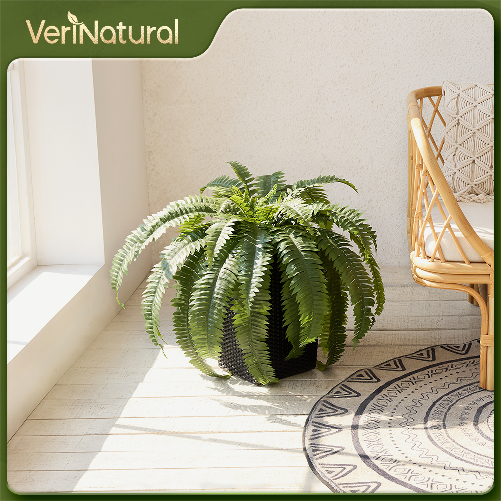 VeriNatural 33/39 Fronds Artificial Boston Fern Bush with Black Taper Planter for Indoor & Outdoor (1/2-Pack)(VN153)