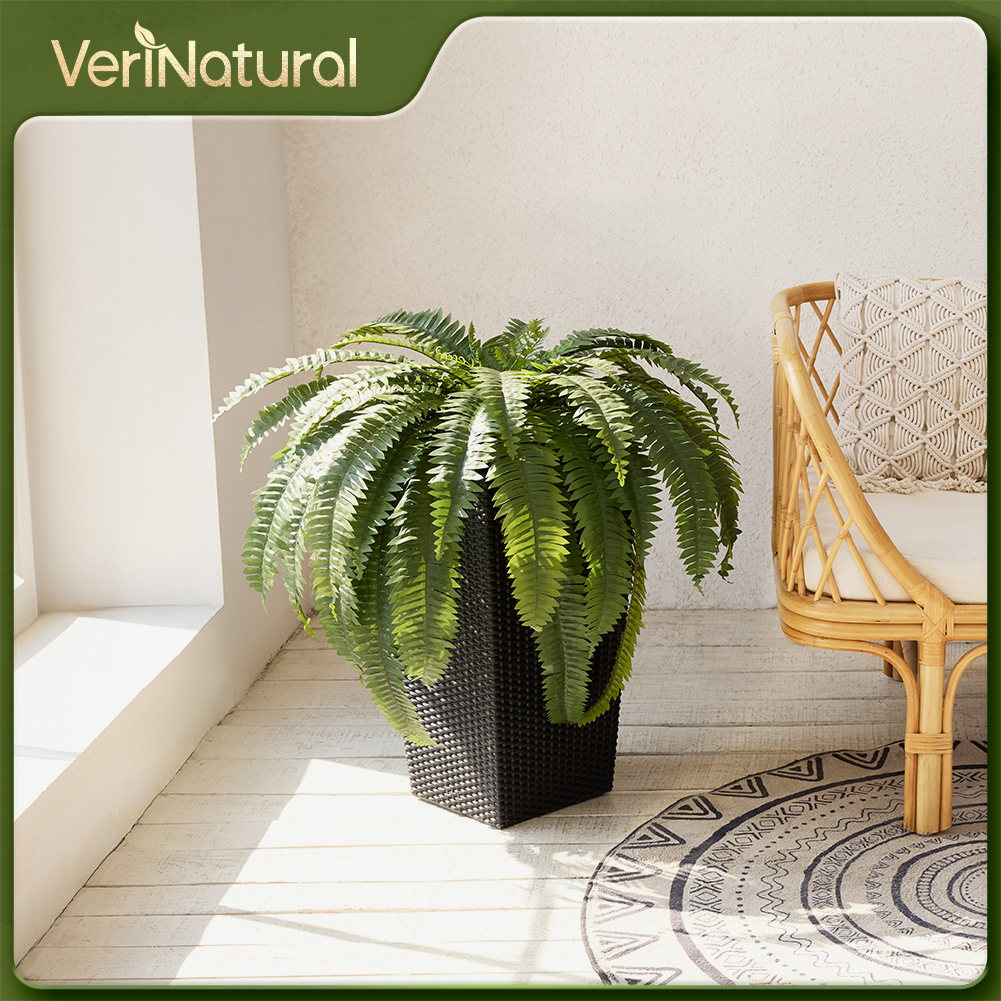 VeriNatural 33/39 Fronds Artificial Boston Fern Bush with Black Taper Planter for Indoor & Outdoor (1/2-Pack)(VN153)