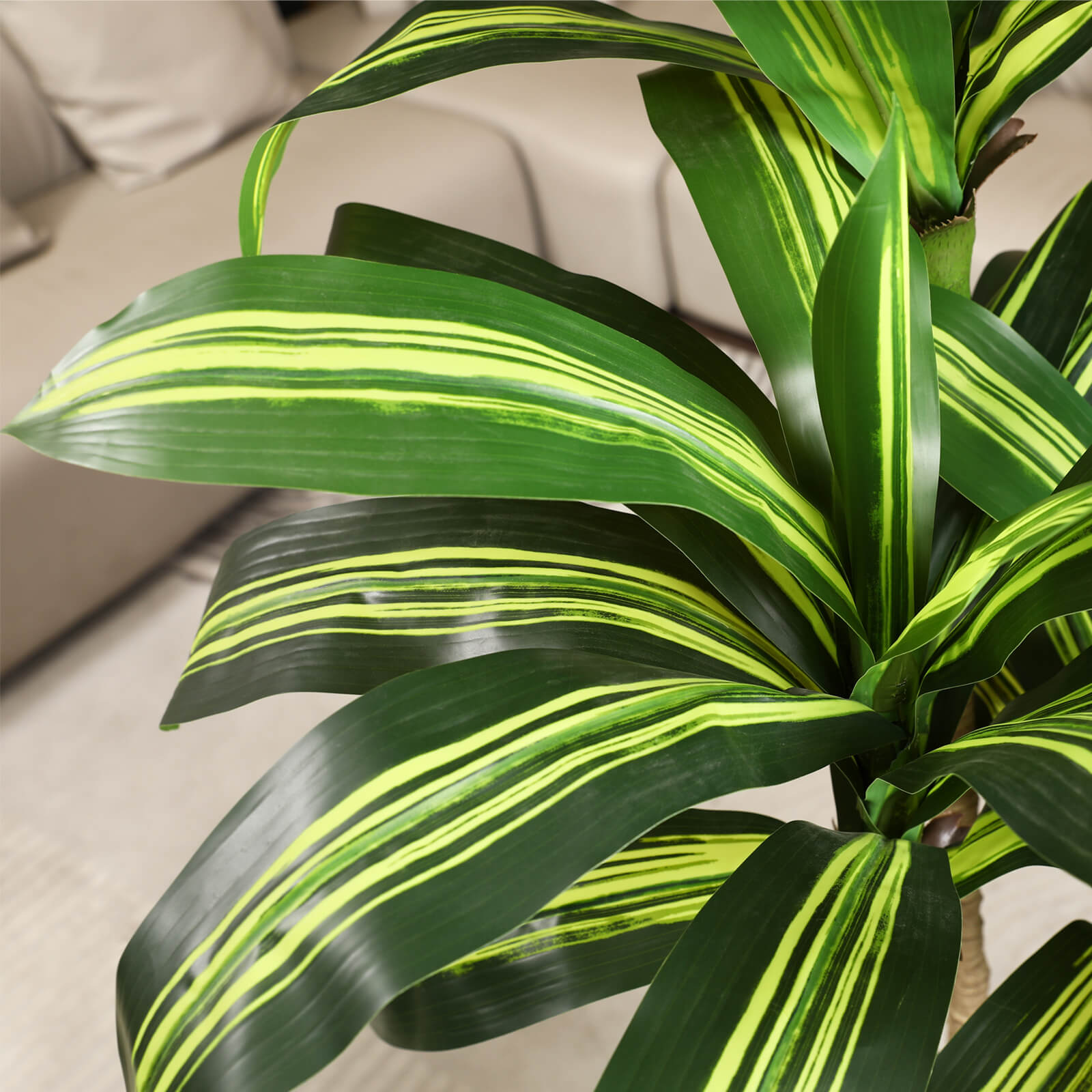 VeriNatural 6/7FT Artificial Dracaena with White/Brown Taper Planter for Indoor & Outdoor