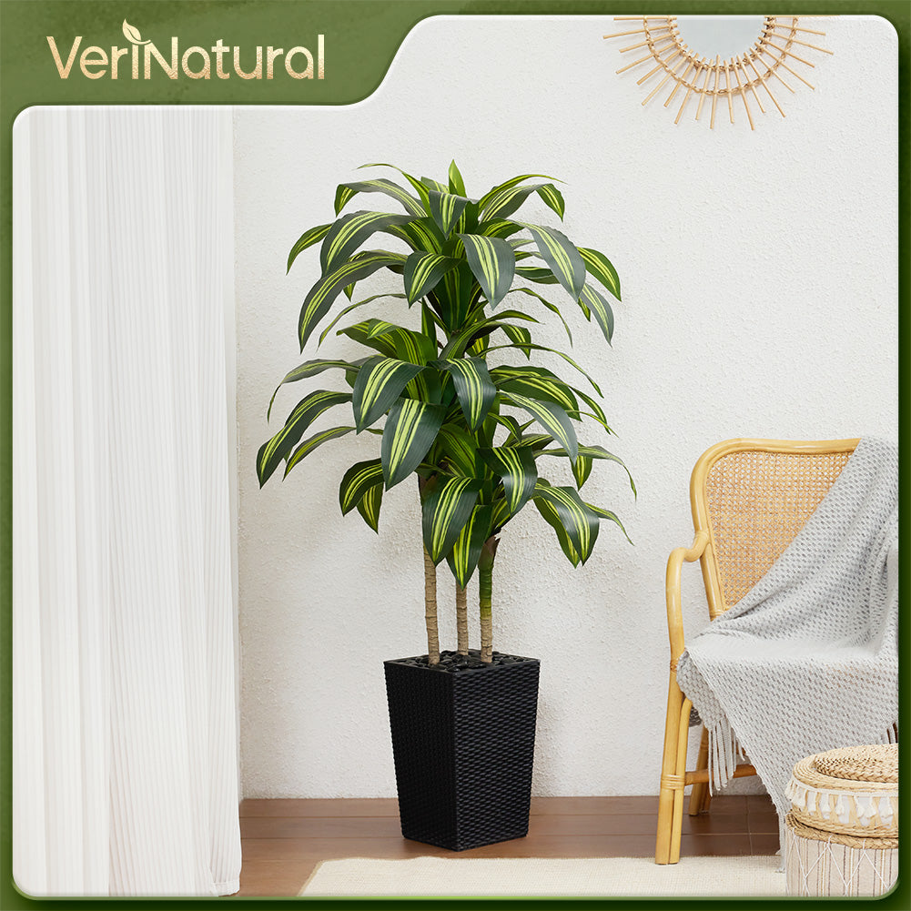 VeriNatural 5/6FT Artificial Dracaena Tree UV Resistant with Black Taper Planter for Indoor & Outdoor(VN127)