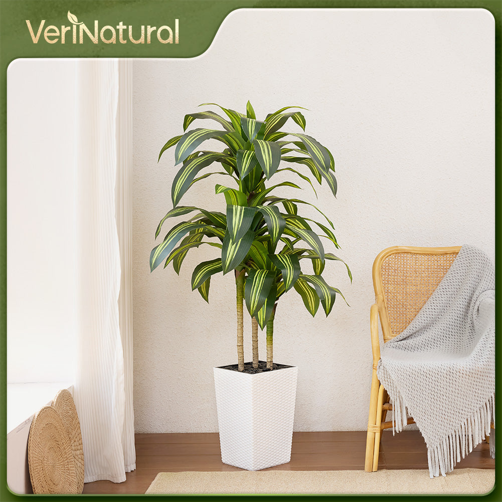 pot size for dracaena VeriNatural 5/6FT Artificial Dracaena Tree UV Resistant with Black Tap