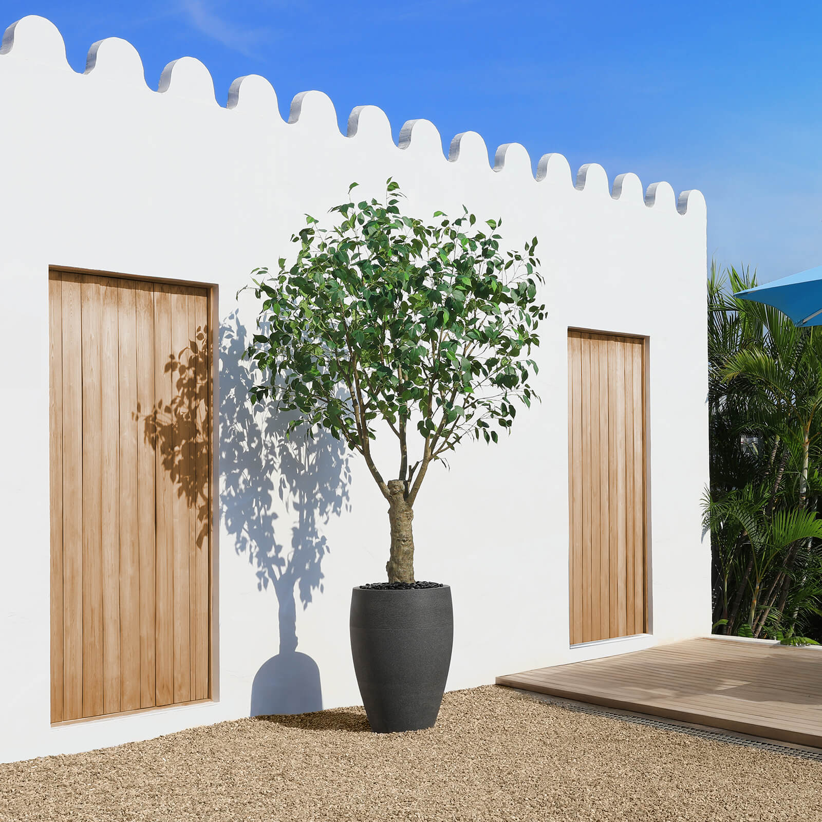 VeriNatural 8FT Artificial Ficus Tree with Gray Cylinder Planter for Indoor & Outdoor