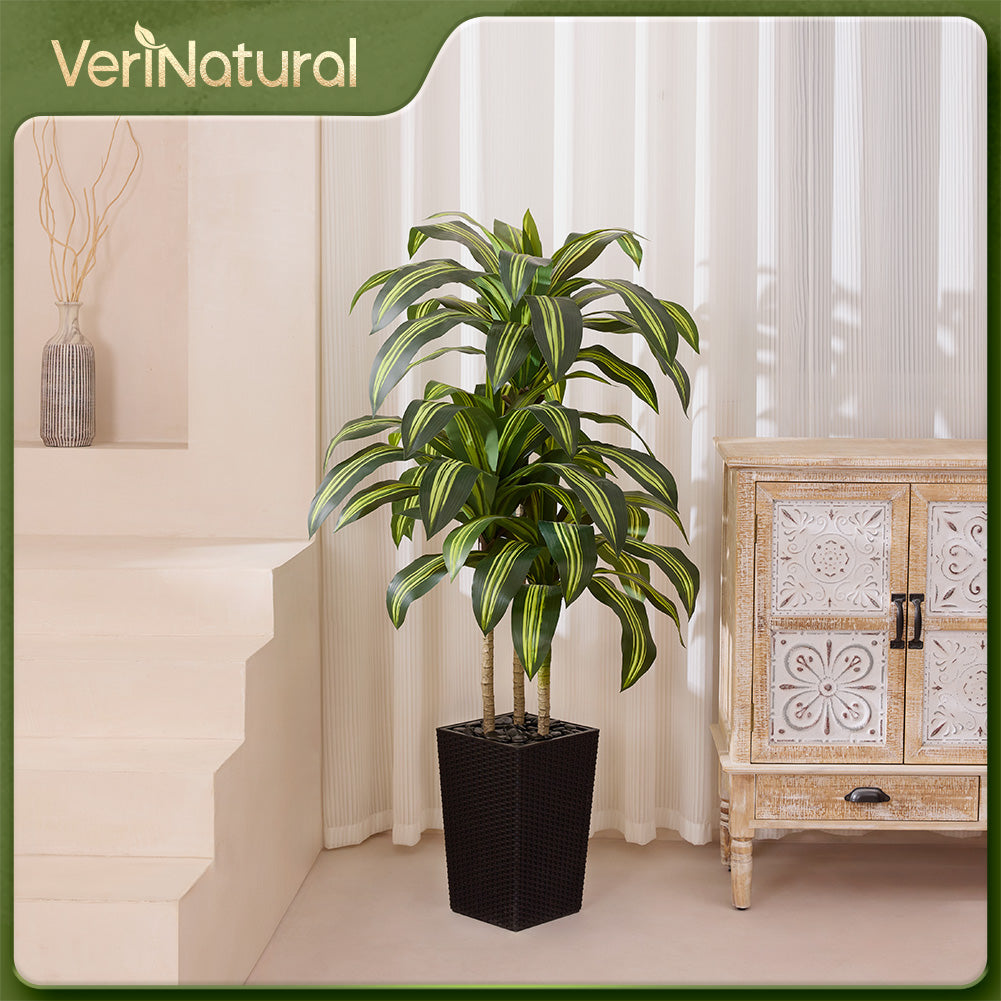 VeriNatural 5/6FT Artificial Dracaena Tree UV Resistant with Black Taper Planter for Indoor & Outdoor(VN127)