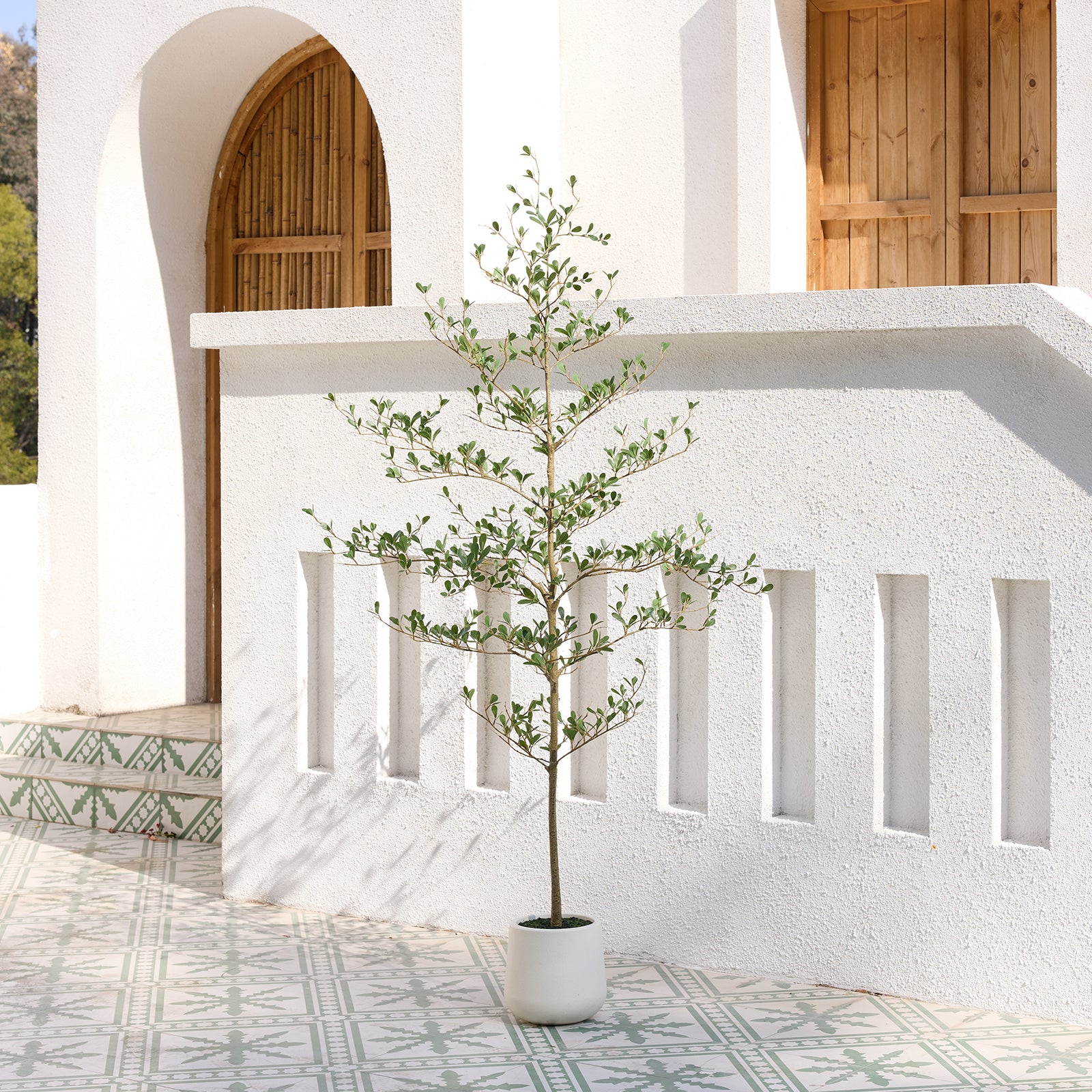 VeriNatural 5/6/7FT Artificial Black Olive Silk Tree UV Resistant with White Planter for Indoor & Outdoor(VN124)