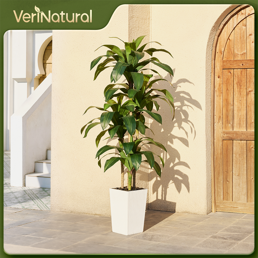VeriNatural 5/6FT Artificial Dracaena Tree UV Resistant with Black Taper Planter for Indoor & Outdoor (VN127)