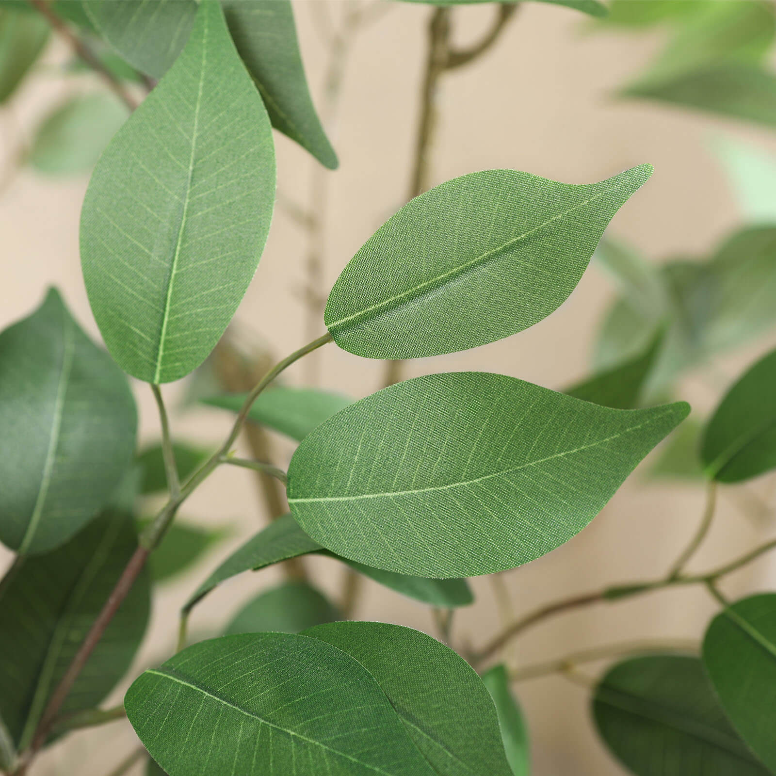 VeriNatural 5/6/7FT Green Artificial Ficus Tree with White Planter for Indoor