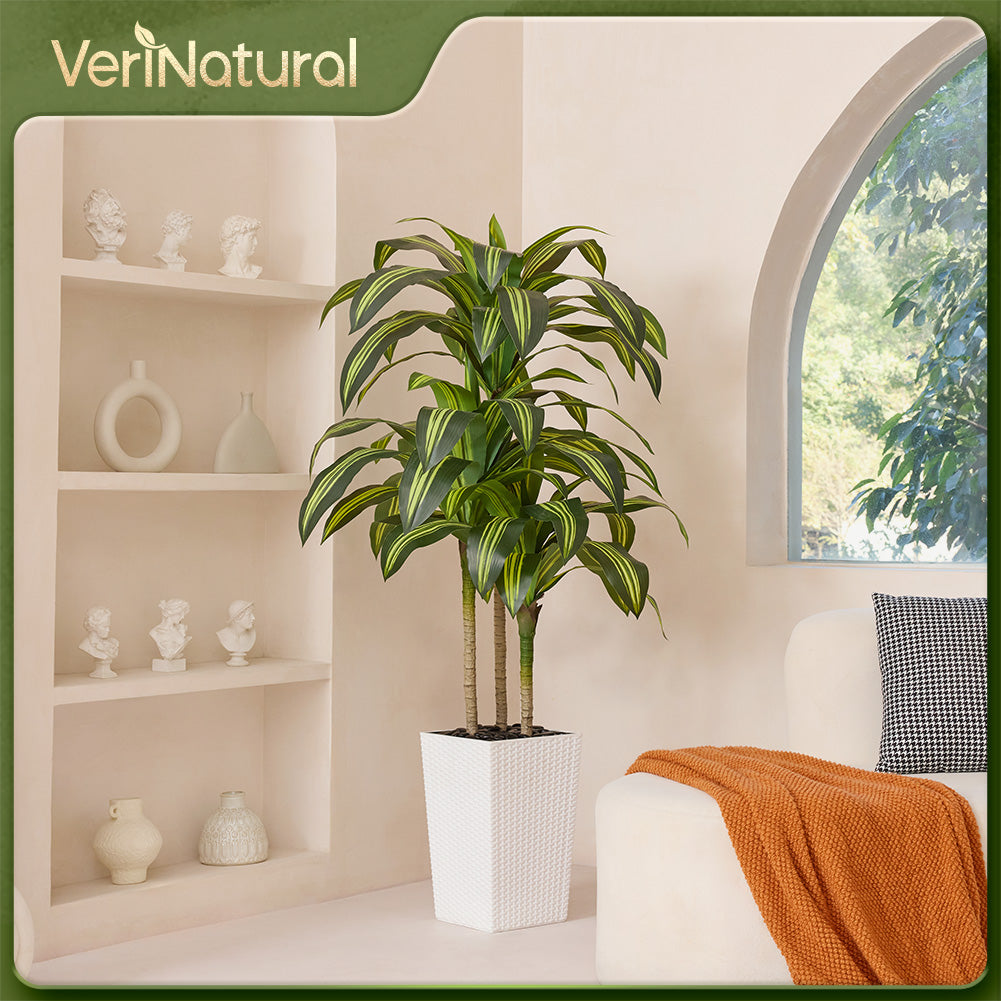 VeriNatural 5/6FT Artificial Dracaena Tree UV Resistant with Black Taper Planter for Indoor & Outdoor (VN127)