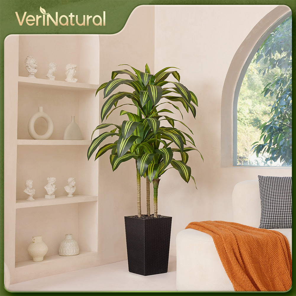VeriNatural 5/6FT Artificial Dracaena Tree UV Resistant with Black Taper Planter for Indoor & Outdoor (VN127)