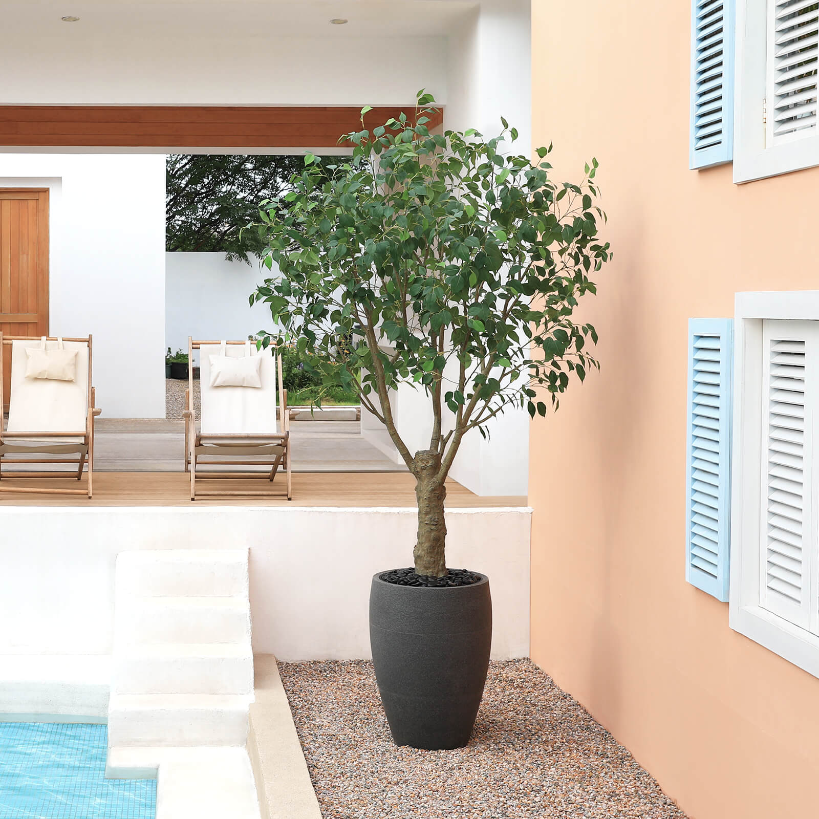 VeriNatural 8FT Artificial Ficus Tree with Gray Cylinder Planter for Indoor & Outdoor