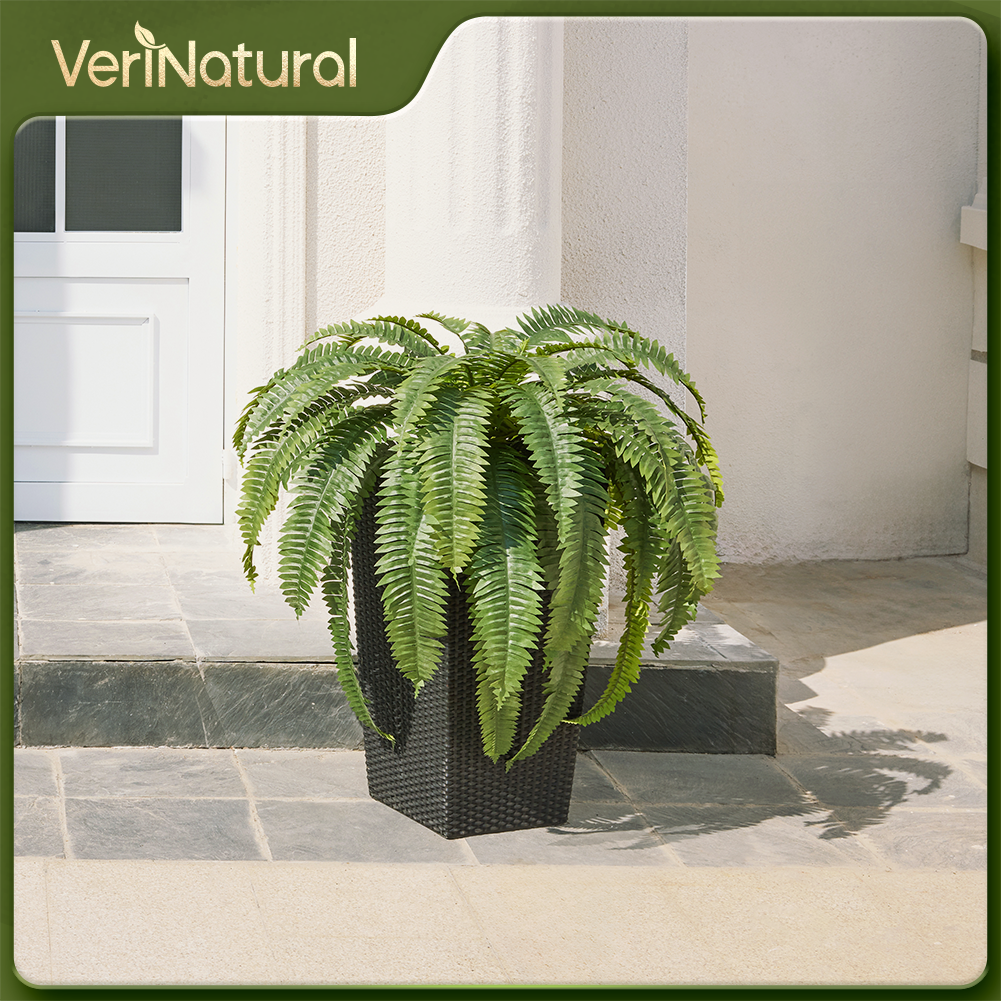 VeriNatural 33/39 Fronds Artificial Boston Fern Bush with Black Taper Planter for Indoor & Outdoor (1/2-Pack)(VN153)