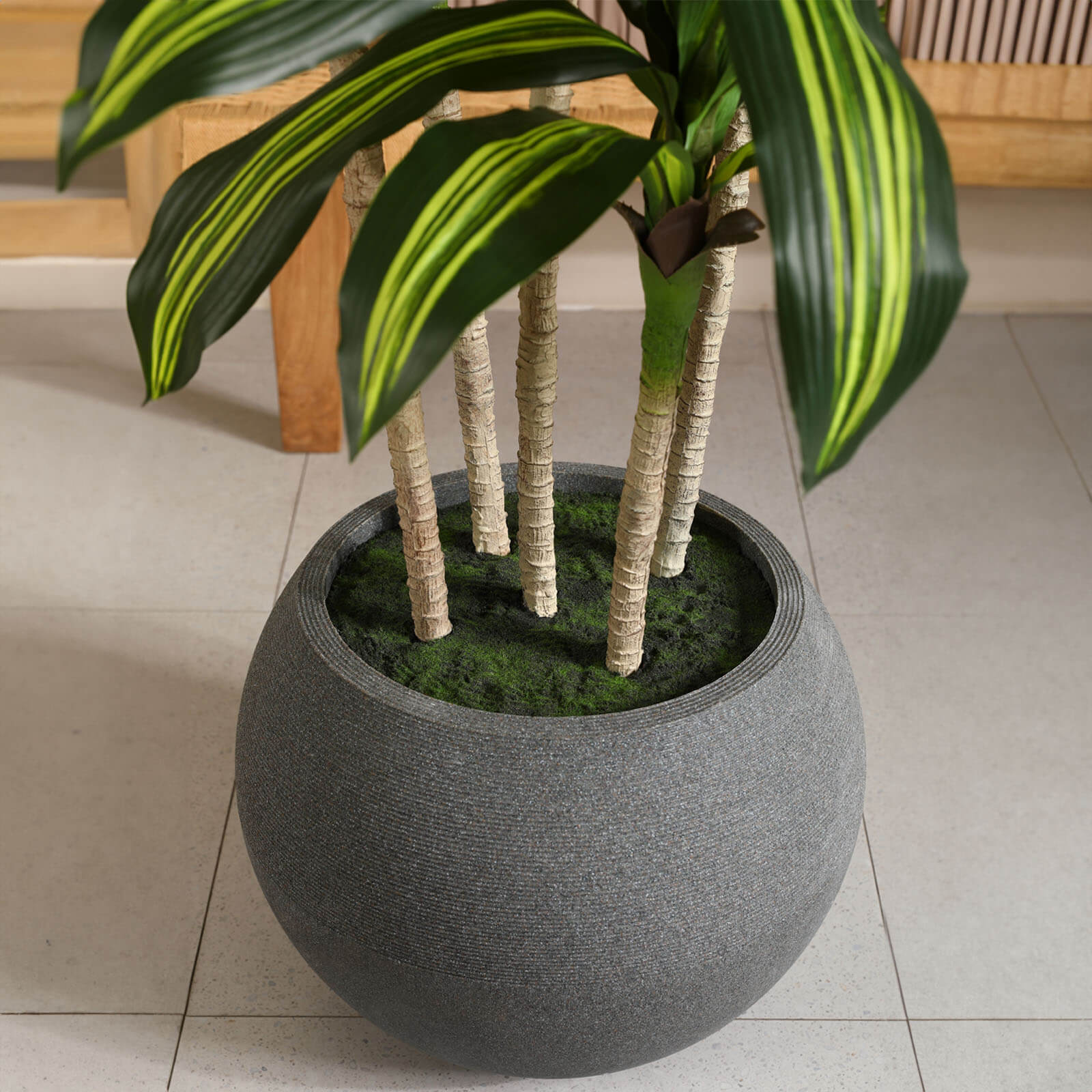VeriNatural 7FT Artificial Dracaena with Gray Oval Planter for Indoor & Outdoor