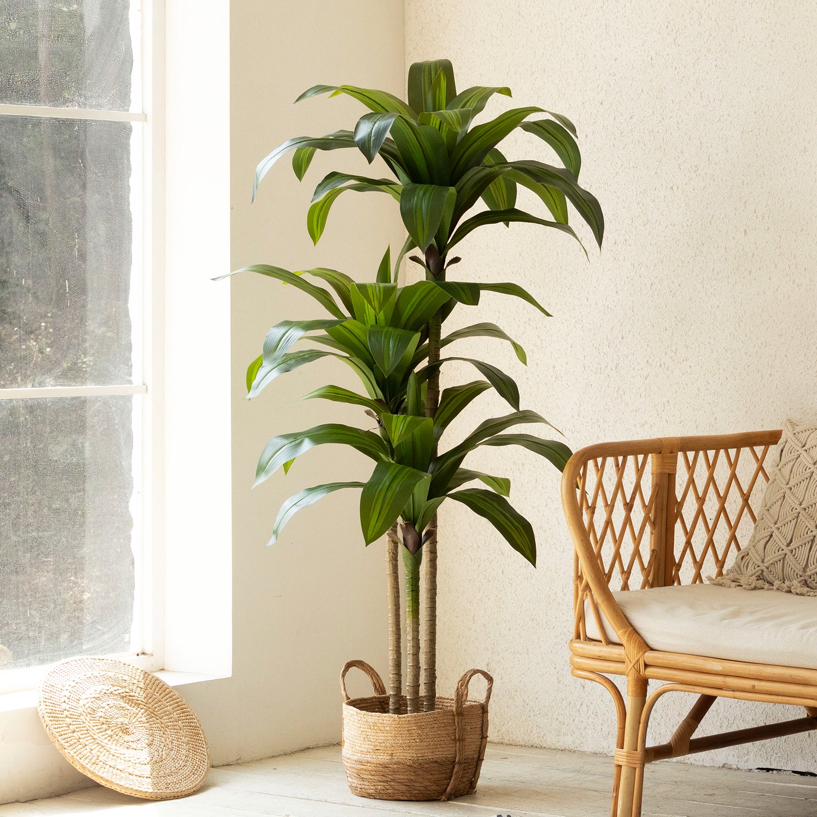 5FT Artificial Dracaena Tree