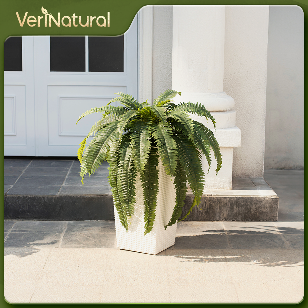 VeriNatural 33/39 Fronds Artificial Boston Fern Bush with Black Taper Planter for Indoor & Outdoor (1/2-Pack)(VN153)