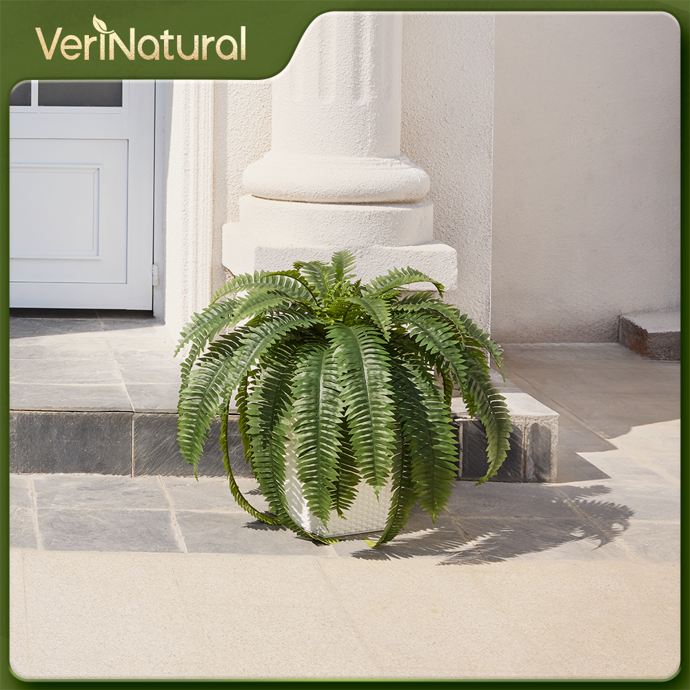 VeriNatural 33/39 Fronds Artificial Boston Fern Bush with Black Taper Planter for Indoor & Outdoor (1/2-Pack)(VN153)