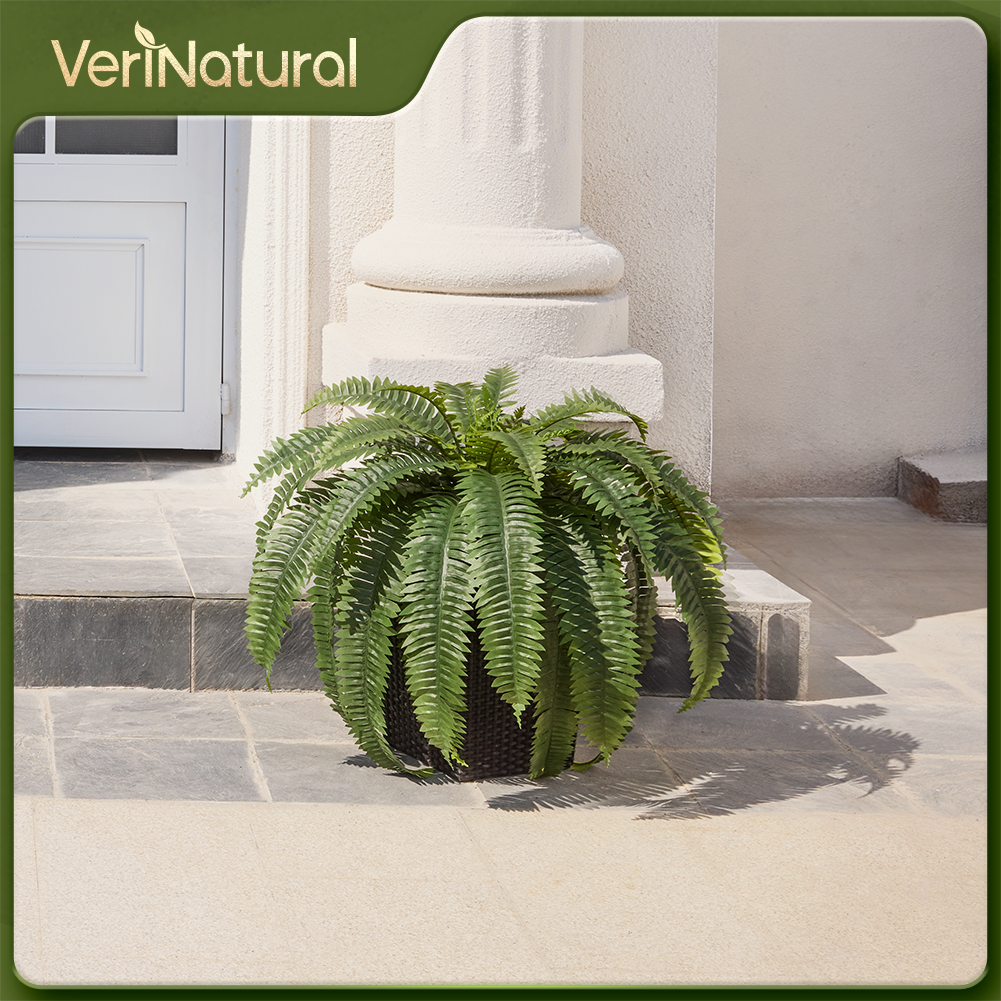 VeriNatural 33/39 Fronds Artificial Boston Fern Bush with Black Taper Planter for Indoor & Outdoor (1/2-Pack)(VN153)