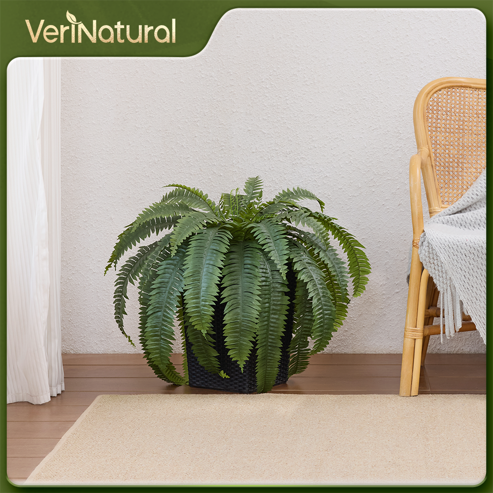 VeriNatural 33/39 Fronds Artificial Boston Fern Bush with Black Taper Planter for Indoor & Outdoor (1/2-Pack)(VN153)