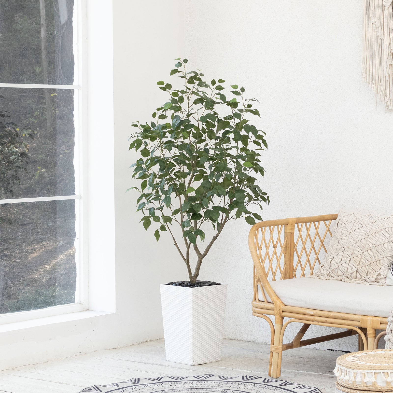 #size_5ft, #color_white