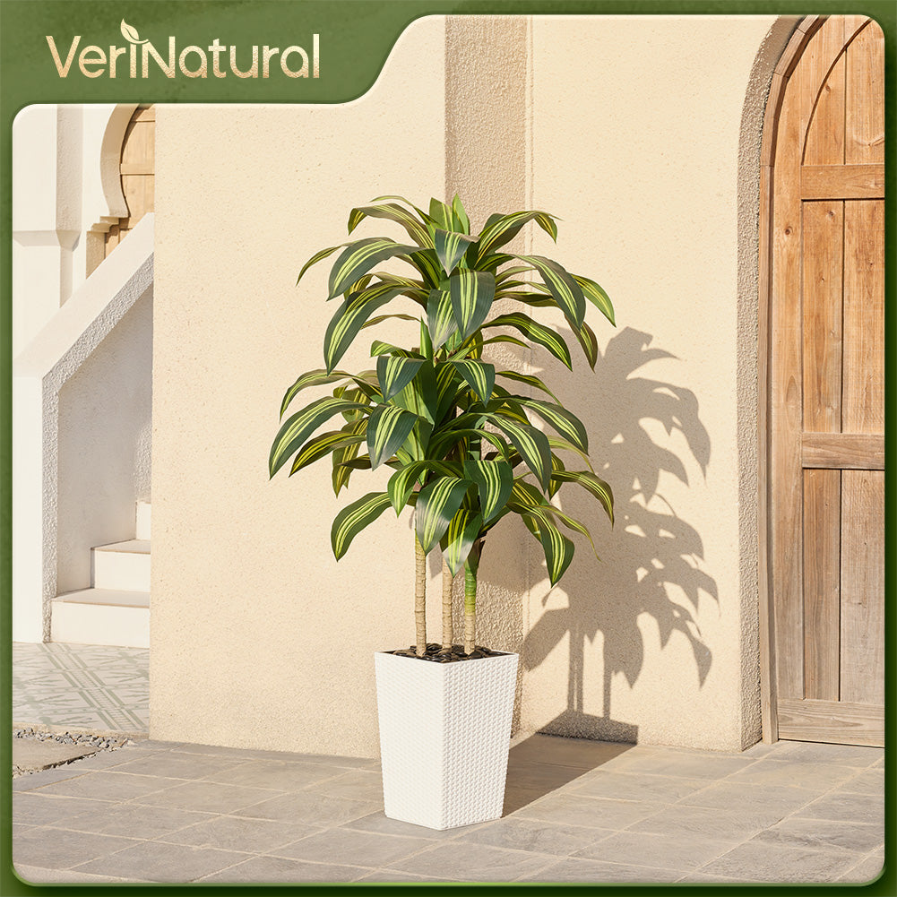 VeriNatural 5/6FT Artificial Dracaena Tree UV Resistant with Black Taper Planter for Indoor & Outdoor (VN127)
