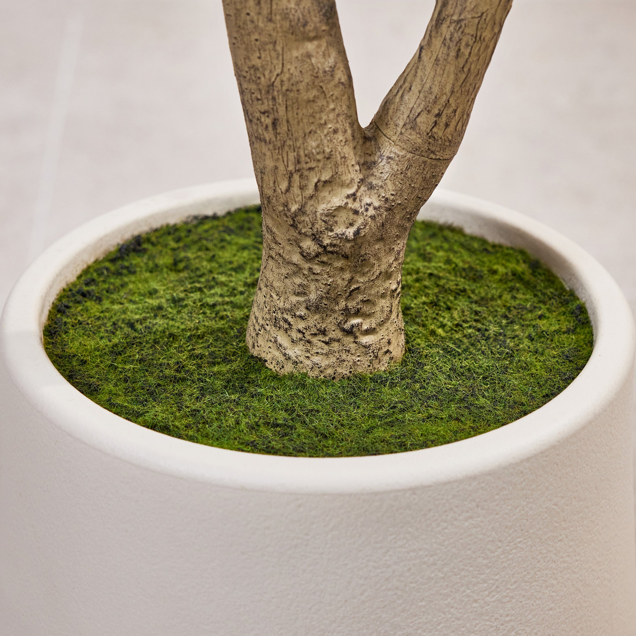 VeriNatural 5/6/7FT Artificial Olive Tree – Realistic Faux Indoor Plant with White Planter, Tall Fake Tree for Home, Office & Living Room Decor(VN256)