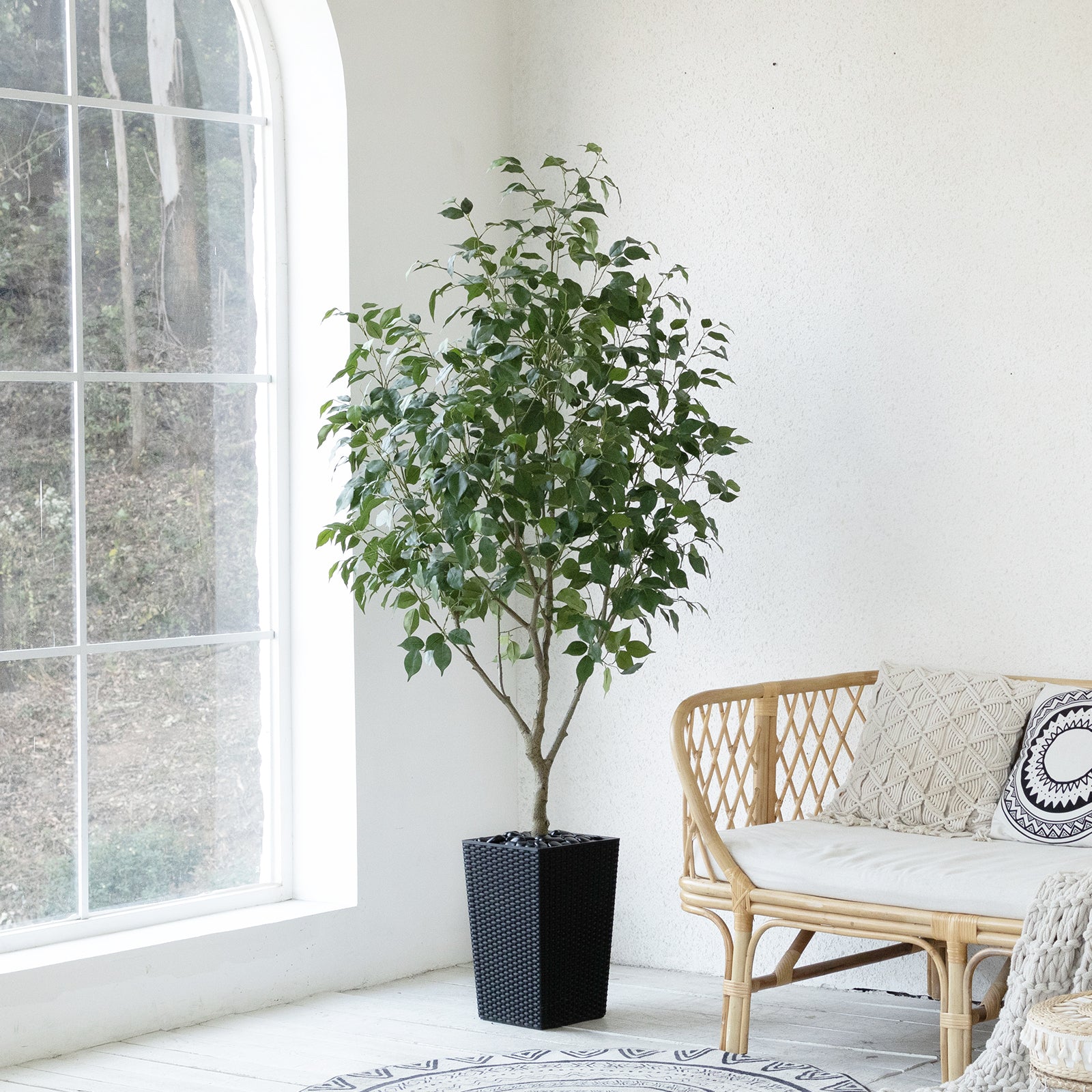 #size_6ft, #color_black