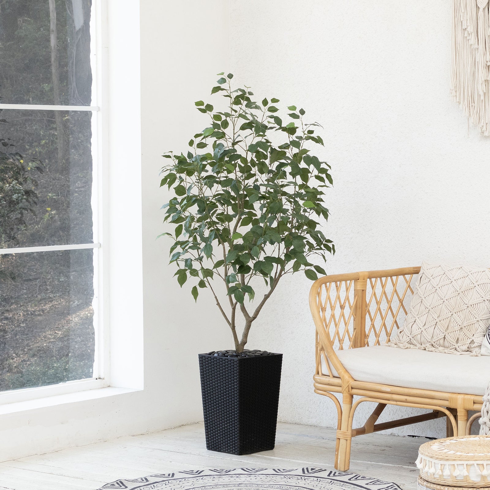 #size_5ft, #color_black