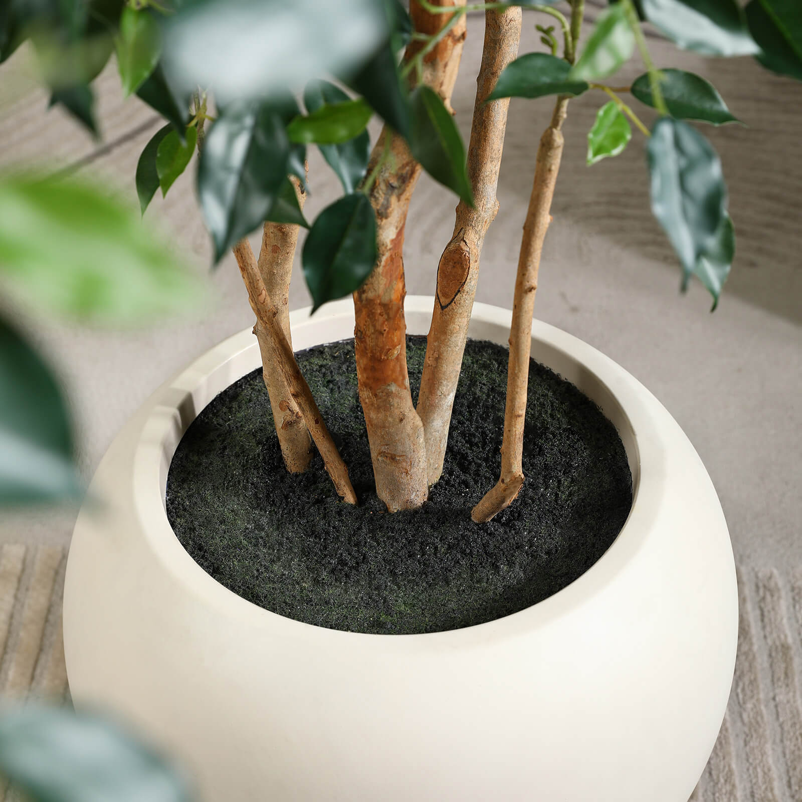 VeriNatural 8FT Artificial Real Trunks Ficus Tree with Custom White Pot for Indoor