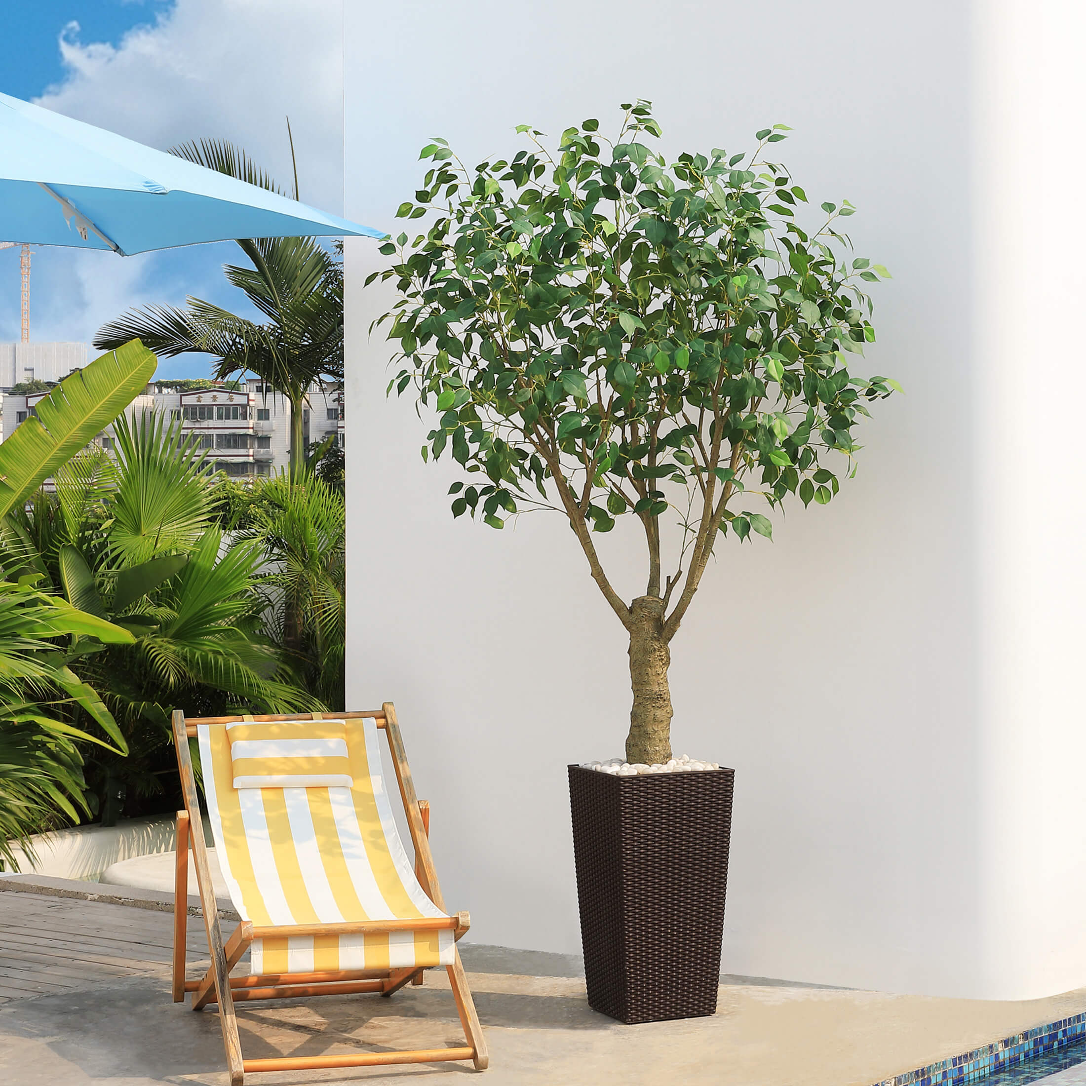 #size_7ft, #color_brown