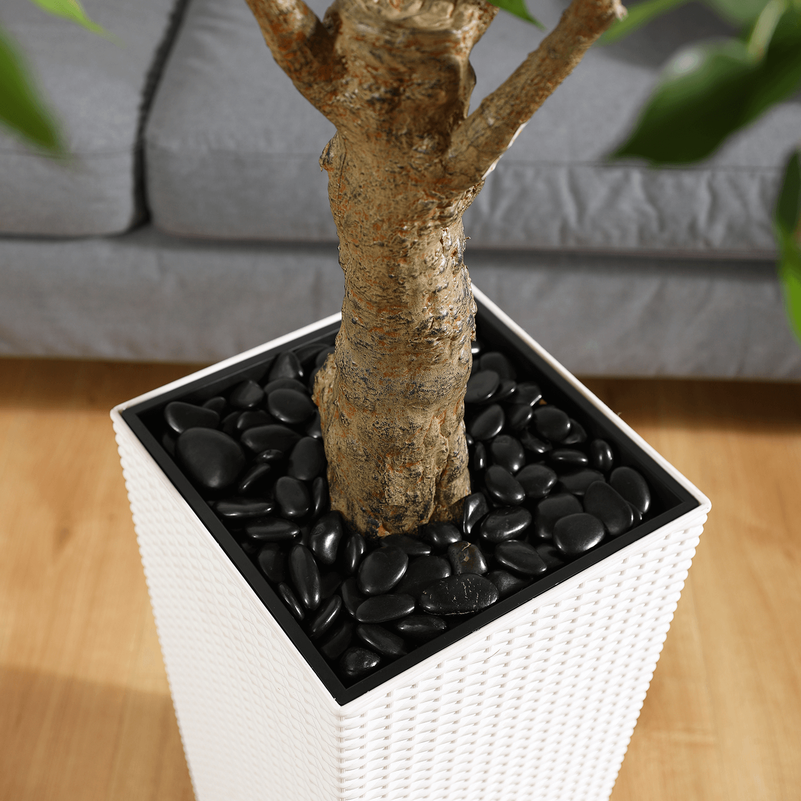 #size_6ft, #color_white