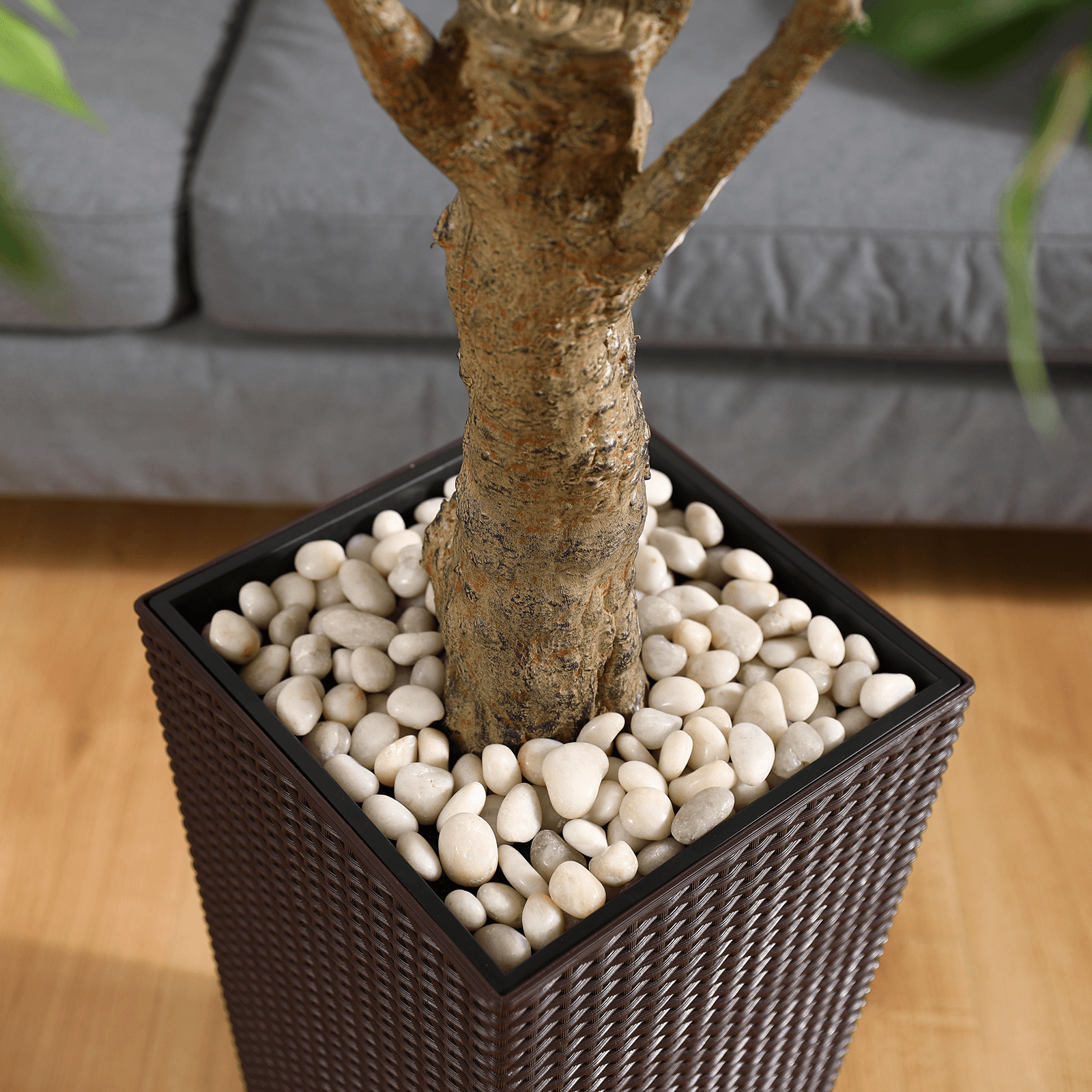 #size_6ft, #color_brown