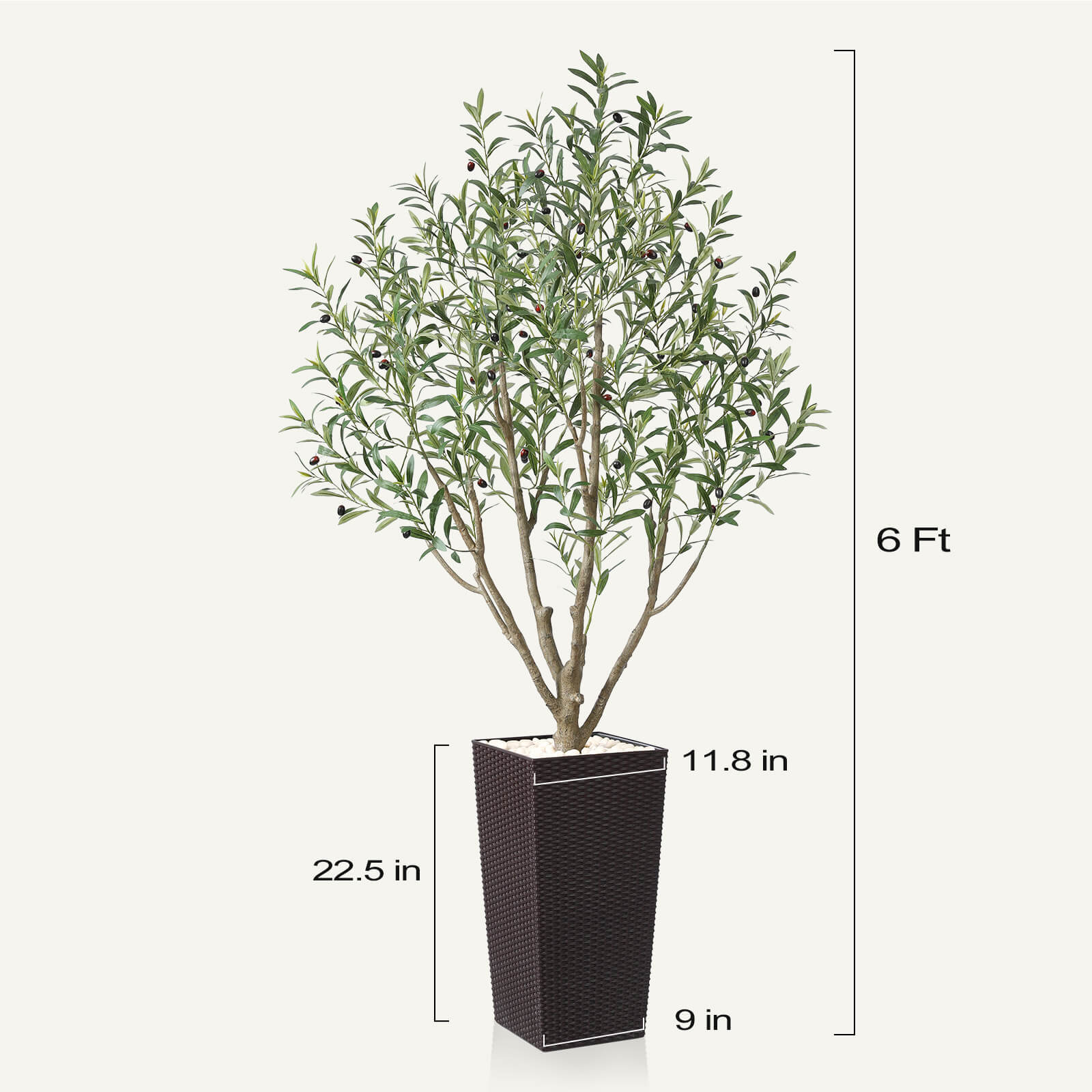 #size_6ft, #color_brown