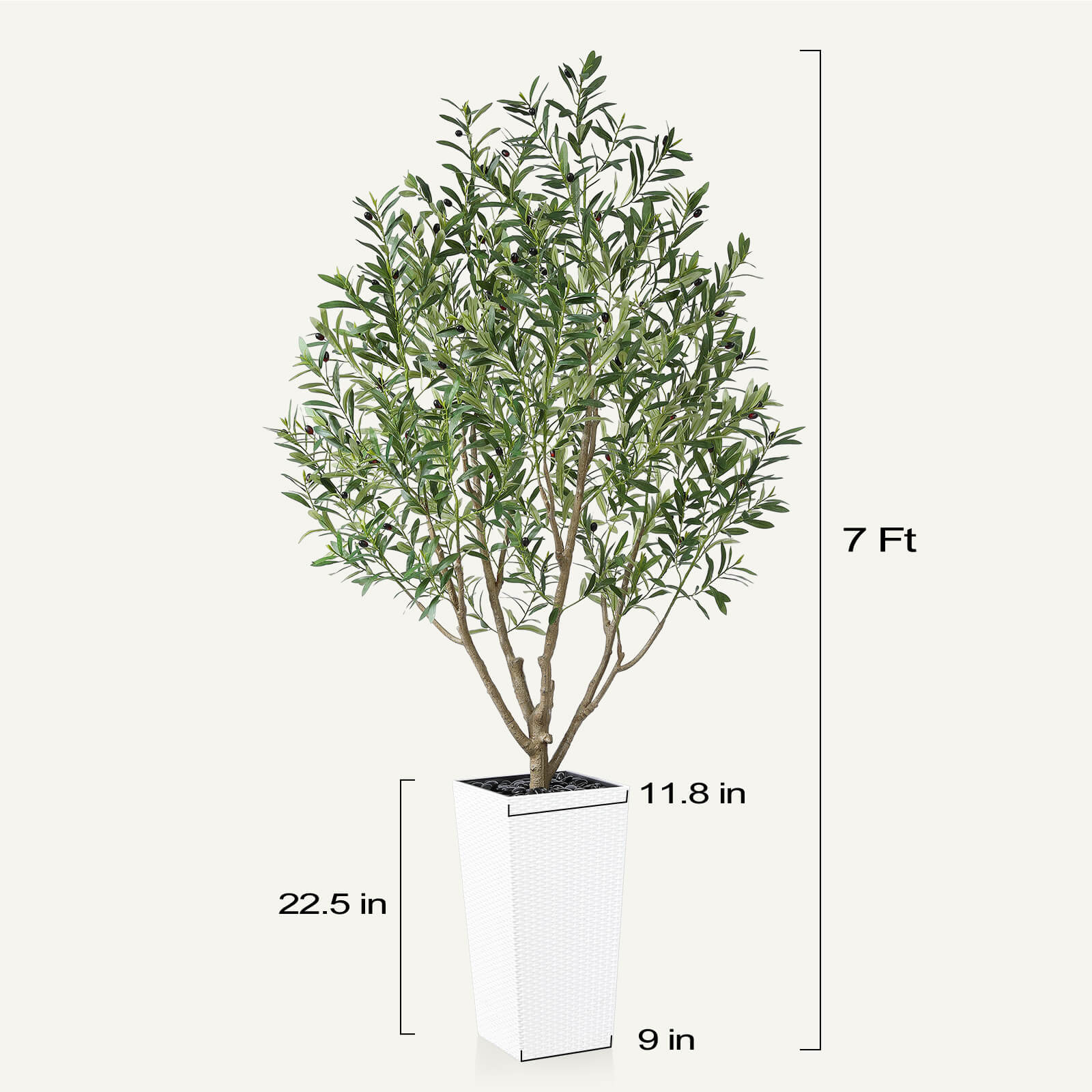 #size_7ft, #color_white