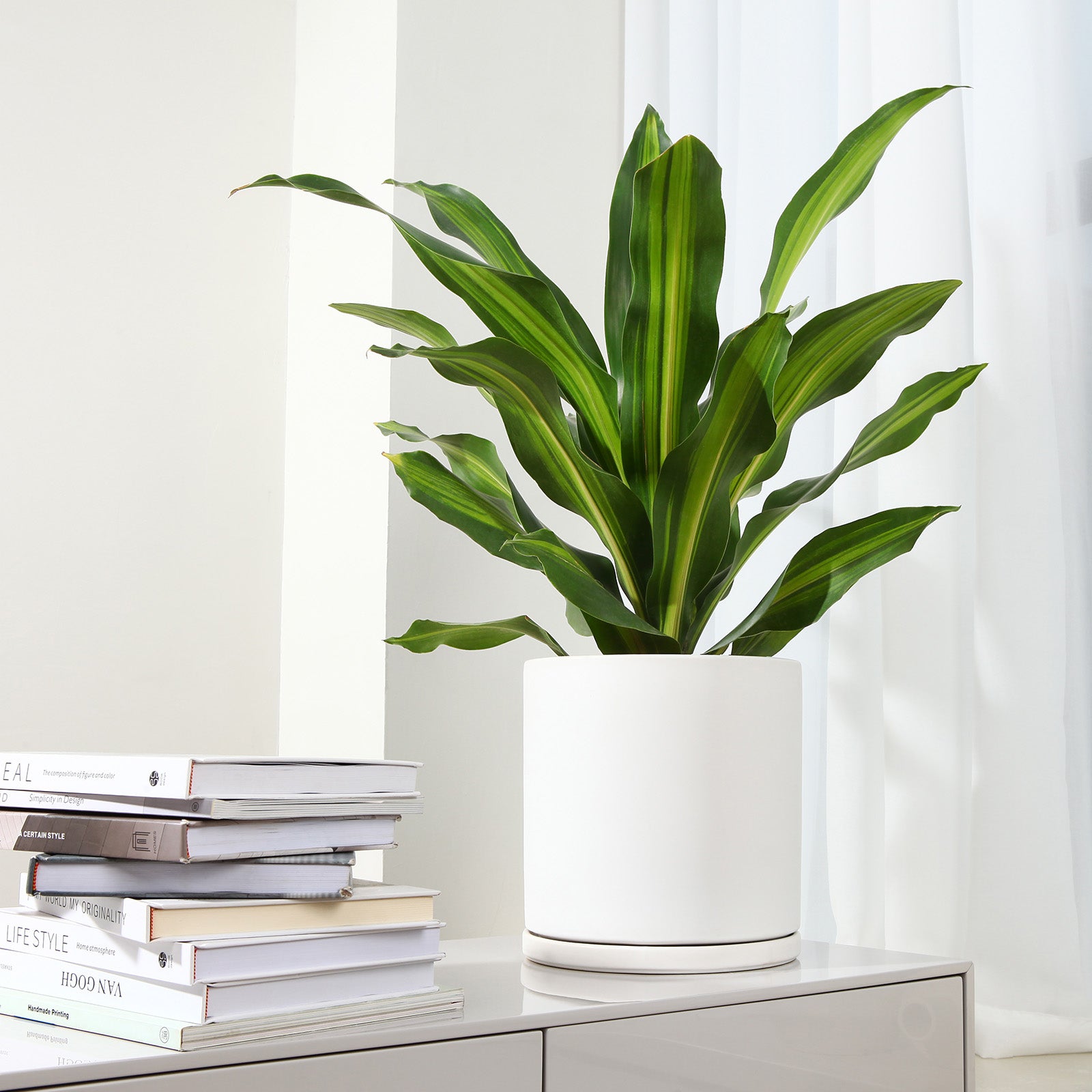 VeriNatural Modern Ceramic Planter with Drainage & Saucer | 10/12 Inch | Black & White Matte Frosted