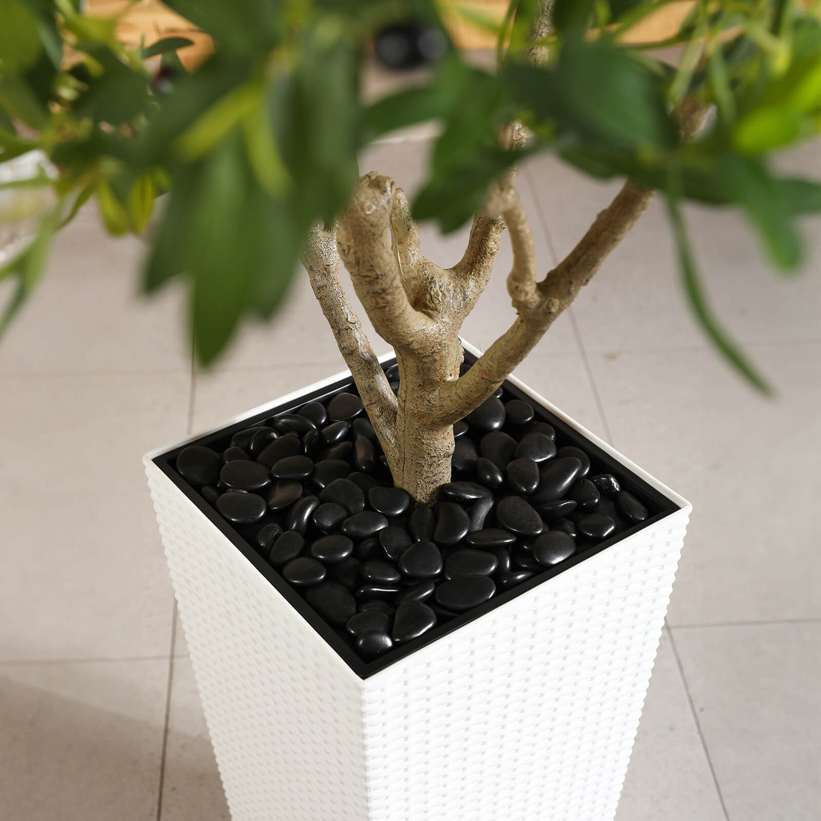 #size_6ft, #color_white