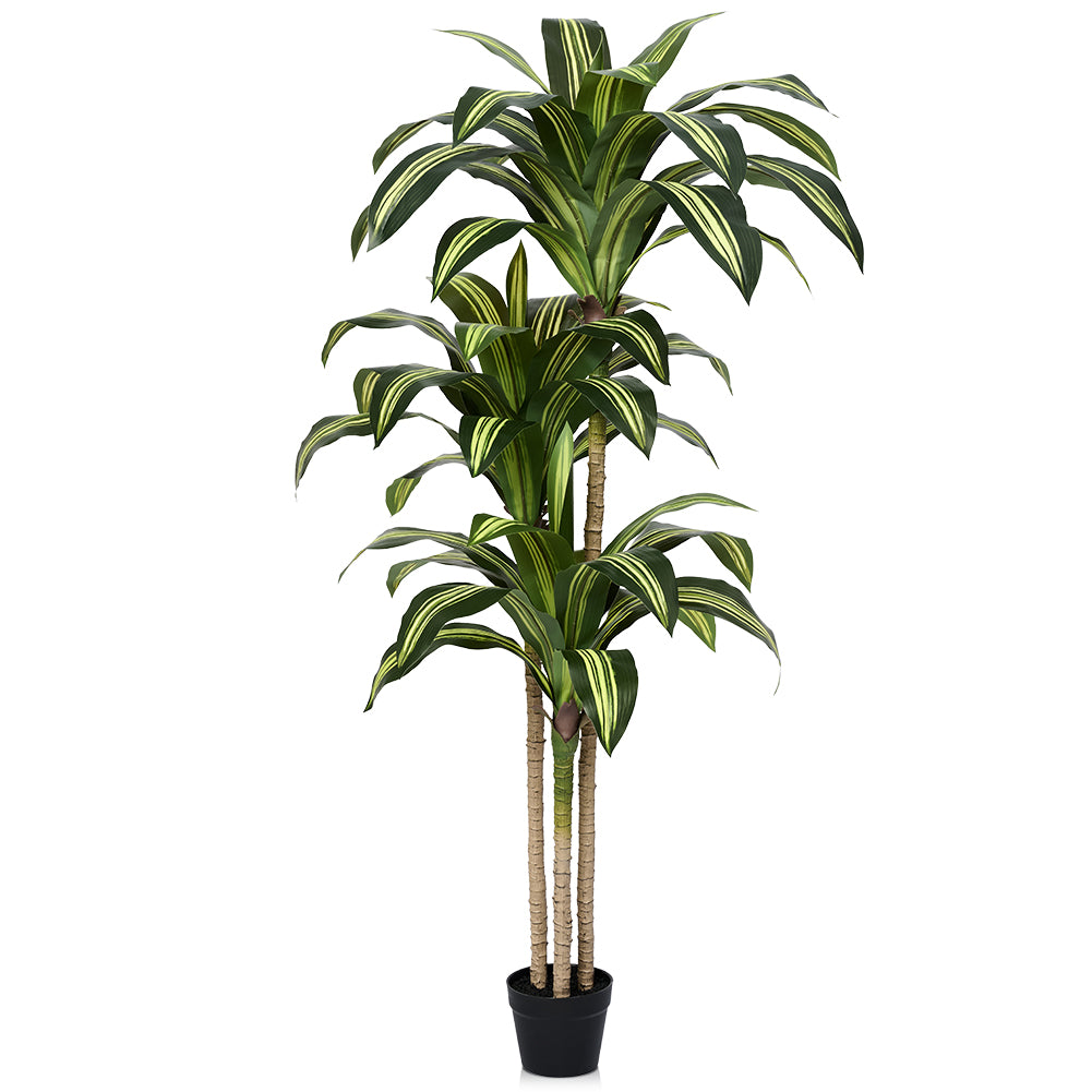 VeriNatural 4/5/6FT Artificial Dracaena Tree UV Resistant for Indoor & Outdoor (VN123)