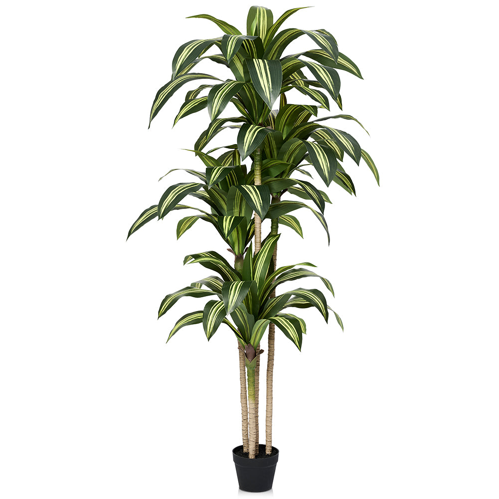 VeriNatural 4/5/6FT Artificial Dracaena Tree UV Resistant for Indoor & Outdoor (VN123)