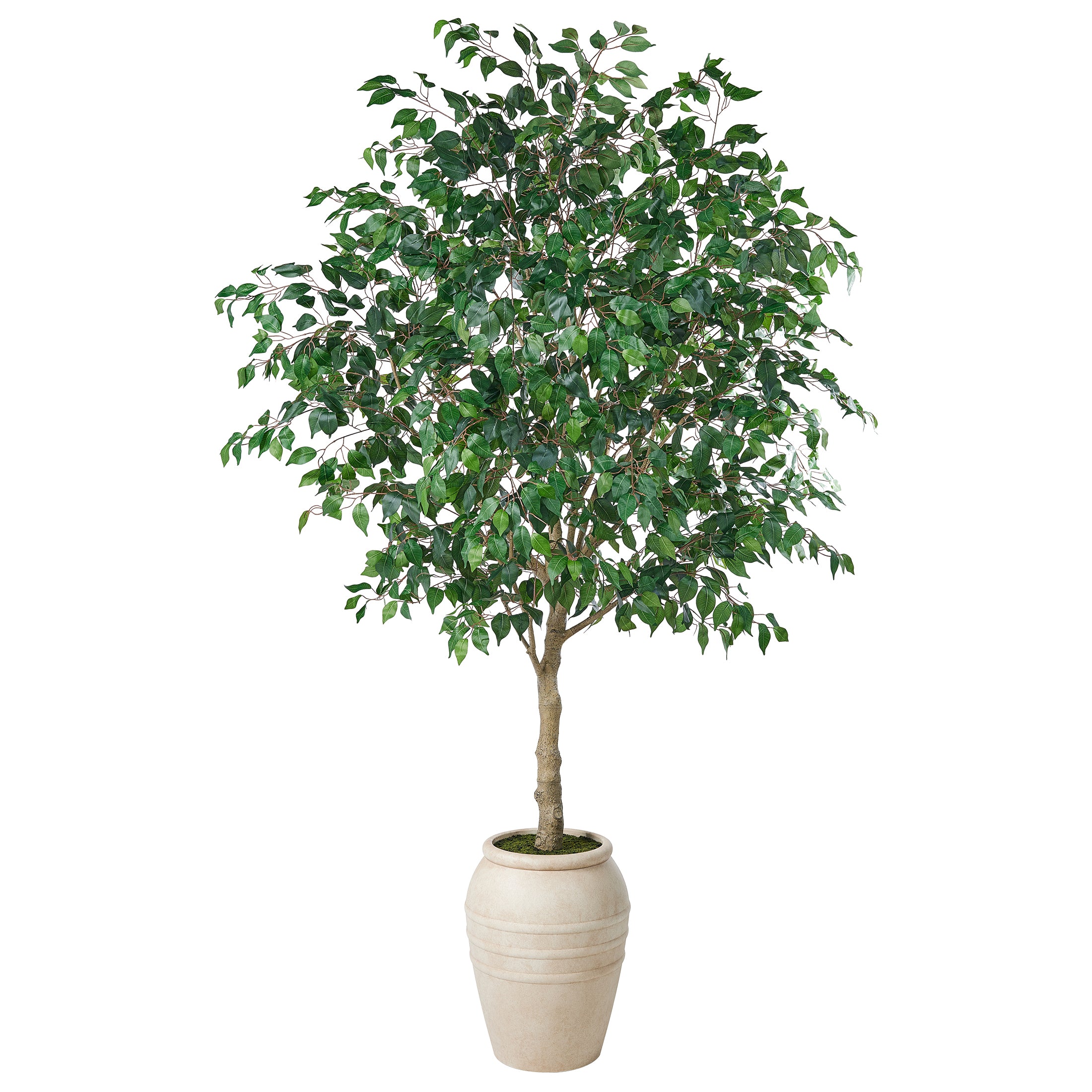 VeriNatural 8/9FT Artificial Ficus Tree with Planter | Large Realistic Faux Indoor Tree for Home, Office & Living Room Decor (VN301)
