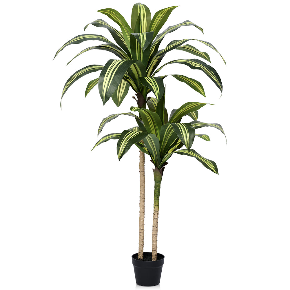 VeriNatural 4/5/6FT Artificial Dracaena Tree UV Resistant for Indoor & Outdoor (VN123)