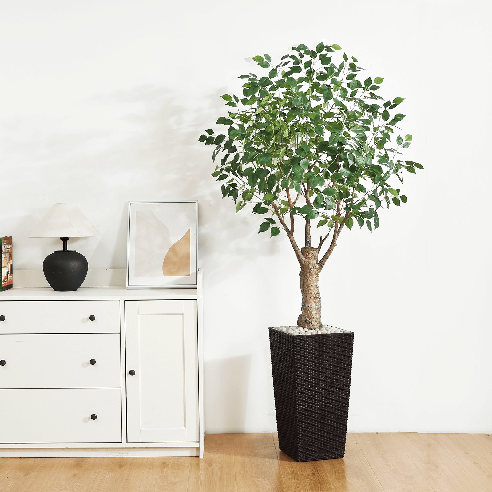 #size_6ft, #color_brown