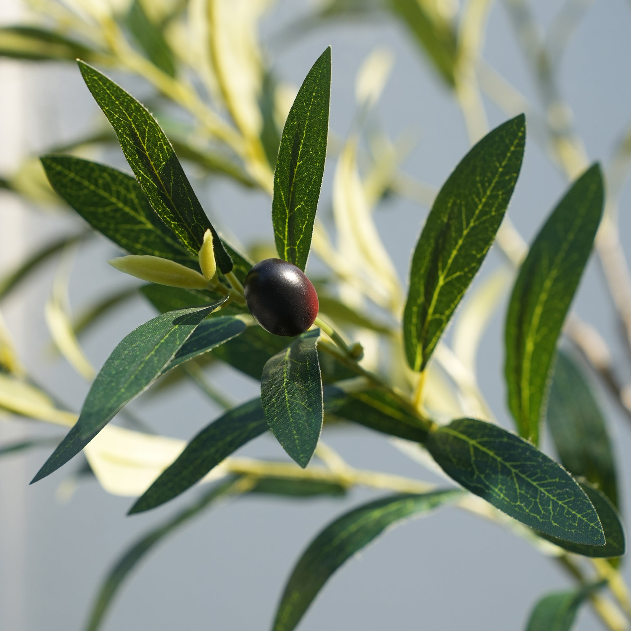 VeriNatural 5/6/7FT UV Resistant and Full-bodied Artificial Olive Tree with Black Planter for Indoor & Outdoor(VN154)